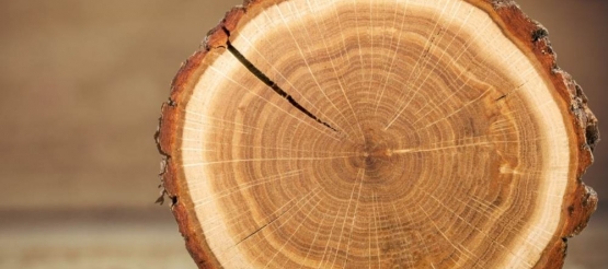 Techniki wykorzystania plastrów różnych gatunków drewna w jednym projekcie