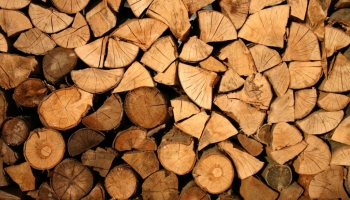 Skład drewna - co powinien mieć w ofercie?