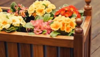 Jak zrobić kwietnik DIY do ogrodu lub na balkon?